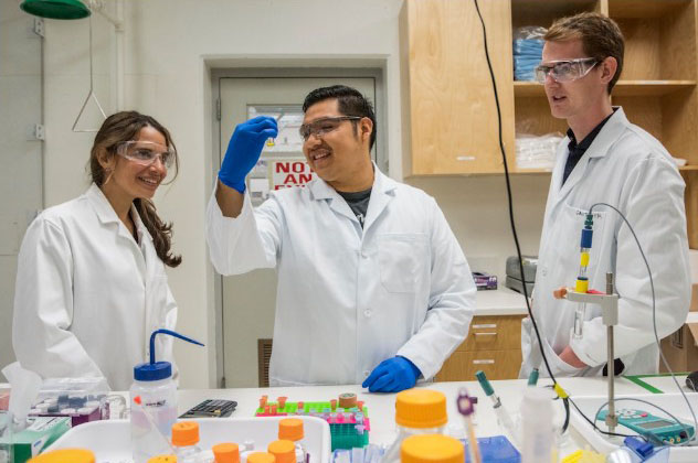 (From left) Rebecca Abergel, Abel Ricano, and Gauthier Deblonde of Berkeley Lab’s Chemical Sciences Division have pioneered a faster method of purifying elements. (Credit: Marilyn Chung/Berkeley Lab)