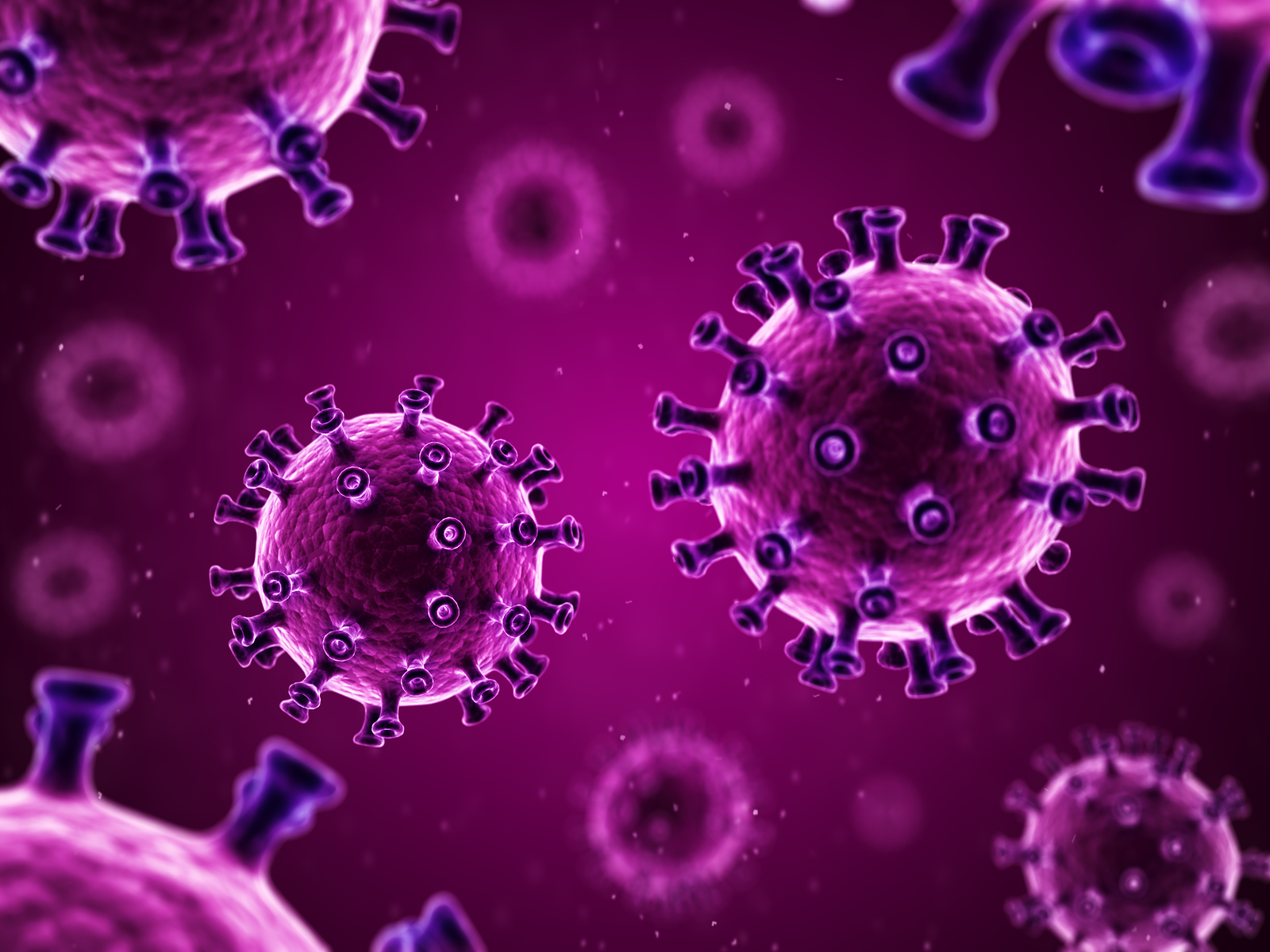 Image of COVID-19 Virus