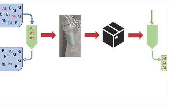 Image courtesy of Texas A&M University The medical radioisotope astatine is separated from bismuth then loaded into a resin column. Once dry, the column is packed for shipping so the astatine can be sent for use at a cancer treatment center.