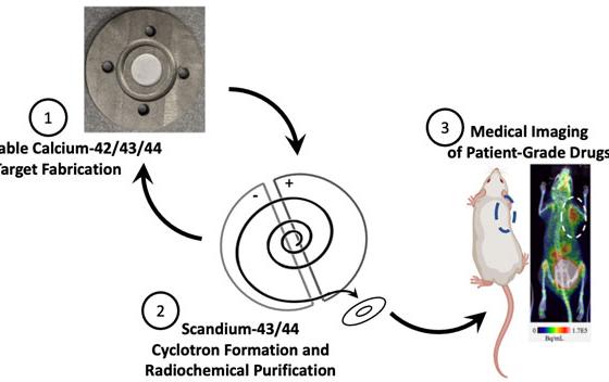 Image courtesy of Jonathan Engle, University of Wisconsin. Summary of the production process for radioisotopes of scandium using recyclable, enriched calcium.