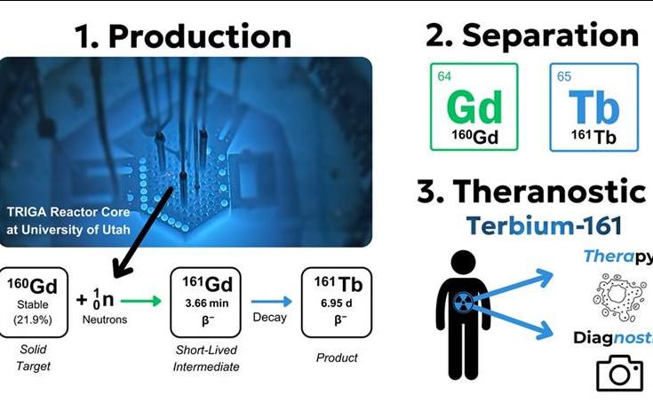 Steps in terbium-161 (Tb-161) production. The University of Utah TRIGA reactor induces thermal neutron capture on gadolinium-160 (Gd-160), which decays to Tb-161. Separating the Gd-160 target yields high-purity Tb-161 for cancer therapy and diagnosis. Graphic courtesy of Connor Holiski.