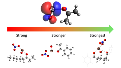The binding of At-211 with mono- and diketones with different bond strengths. Image courtesy of Jon Burns, University of Alabama at Birmingham