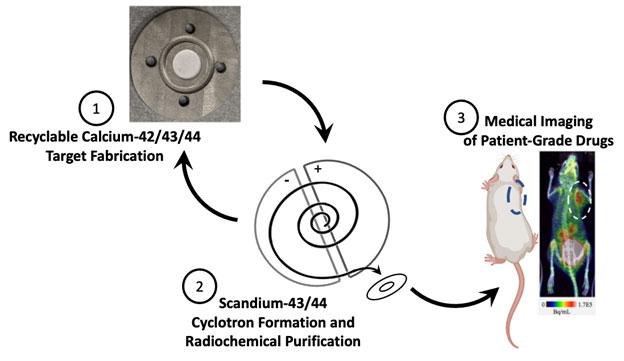 Image courtesy of Jonathan Engle, University of Wisconsin. Summary of the production process for radioisotopes of scandium using recyclable, enriched calcium.