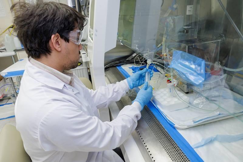 Student working in the Texas A&M University lab processing astatine-211. Image courtesy of Texas A&M University.