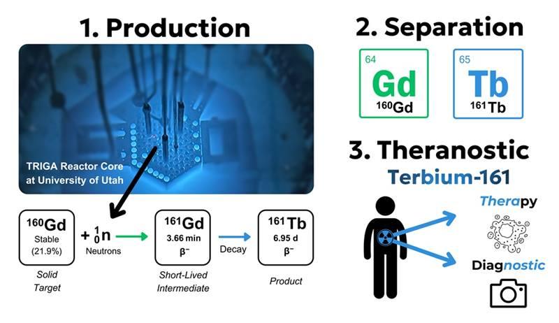 Steps in terbium-161 (Tb-161) production. The University of Utah TRIGA reactor induces thermal neutron capture on gadolinium-160 (Gd-160), which decays to Tb-161. Separating the Gd-160 target yields high-purity Tb-161 for cancer therapy and diagnosis. Graphic courtesy of Connor Holiski.